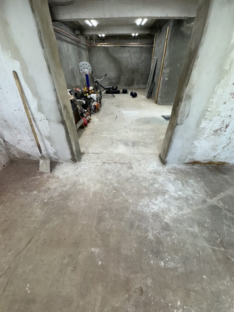 Before Photo